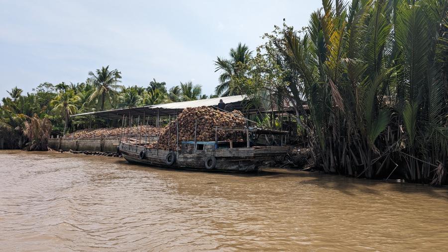 Vietnam tour participants take a trip to the Mekong Delta