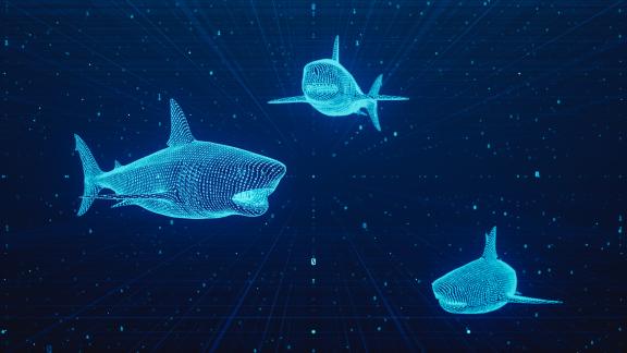 cyber threat image with sharks