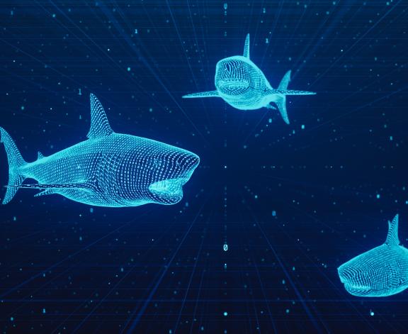 cyber threat image with sharks